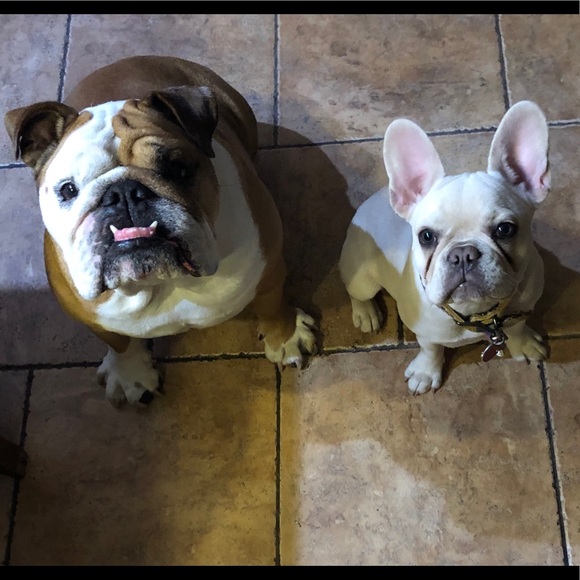 Meet your Posher, Danielle - Picture 16 of 16